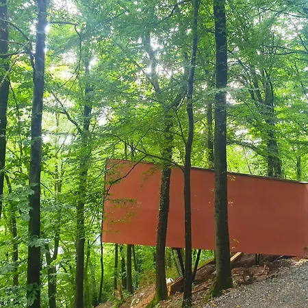 Dans Les Arbres Ferienhaus La Roche-en-Ardenne