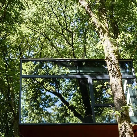 Dans Les Arbres *