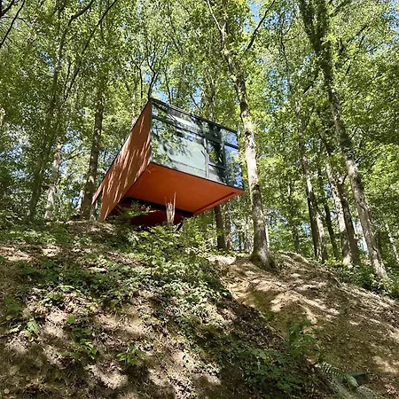 Dans Les Arbres