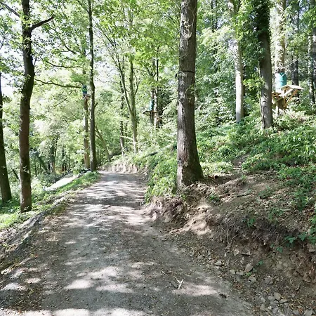 Dans Les Arbres La-Roche-en-Ardenne